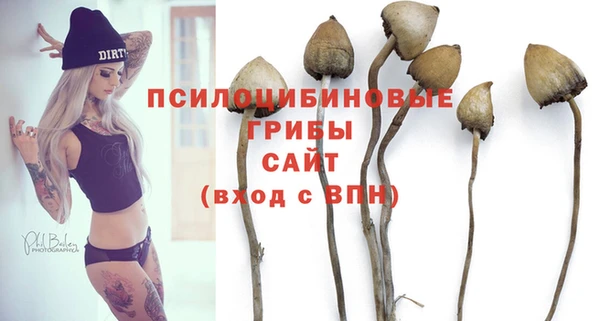 ALPHA PVP Покровск