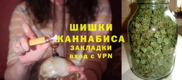 прущие грибы Апатиты